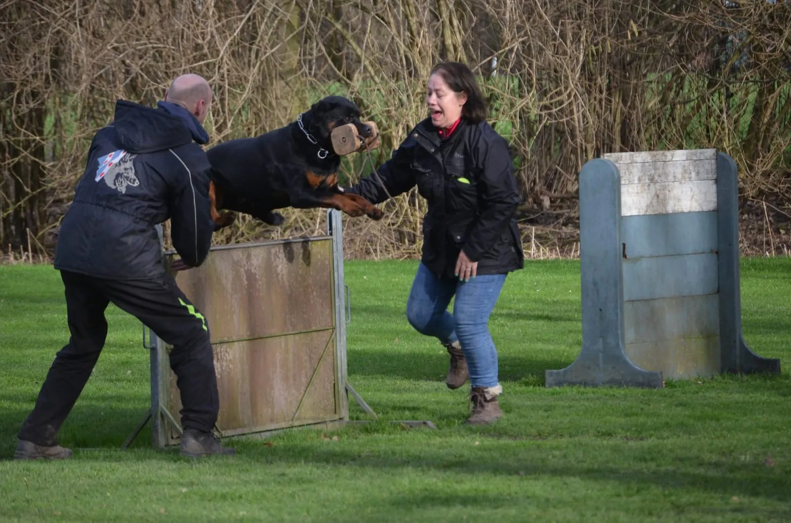 Een rottweiler springt met het apporteerblok in zijn bek over de horde, terug naar zijn begeleidster
